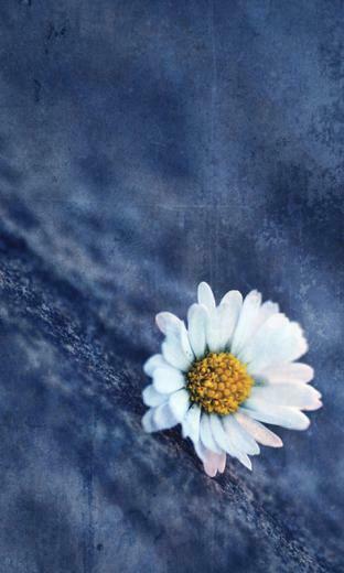 Lumia Denim Wallpaper Best Apps For Android