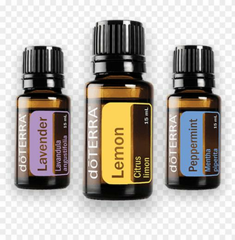 Atures Most Powerful Elements Doterra Spearmint Essential Oil