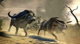 Cabela S Dangerous Hunts Video Game Wallpaper
