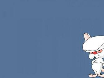 Pics Photos Pinky And The Brain