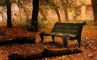 Landscapes Bench Chair Seat Autumn Fall Leaves Trees Mood Wallpaper
