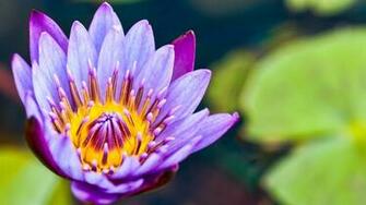 WallpaperHD Be HD1080p Wallpaper Gallery Image Image342 Htm