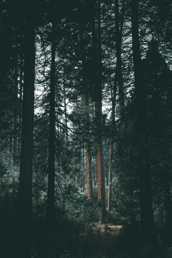 Moody Aesthetic Wallpaper