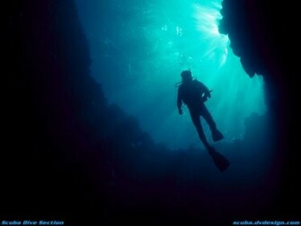Wallpaper Scuba Diving Underwater Photo