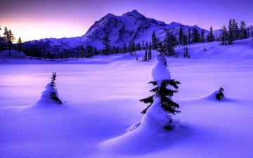 Widescreen High Resolution Winter Wallpaper On