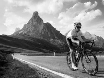 Focus Cayo Evo Bike Gallery