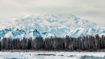 To Best Experience Alaska S Burgeoning Local Food Movement Go In