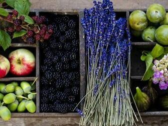 Wallpaper Still Life Of Berries Fruits And Flowers Photos