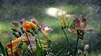 Wallpaper HD Full Widescreen Desktop Background
