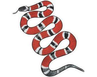 Snake Applique Studio