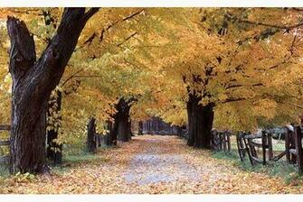 Definition Wallpaper Photo Windows Html