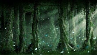 Dark Forest Background HD Wallpaper Background