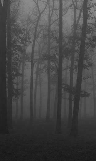 Krueger Jason Voorhees Michael Myers Leatherface Wallpaper