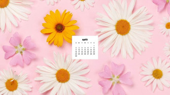 April Wallpaper Bies For Desktop Phones