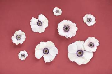 Digital Blooms November Desktop Wallpaper Justinecelina