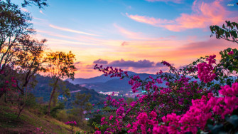 Wallpaper Ideas Spring Desktop