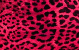 These Pink Wallpaper Every Engineer Girl Will Love