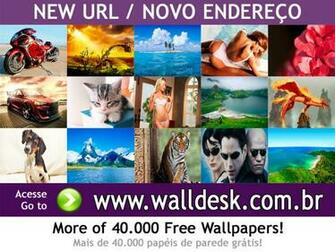 Wallpaper Ride Wild Surf Photos For Pc Computer And