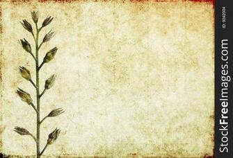 Background Image With Earthy Texture Stock Image Photos