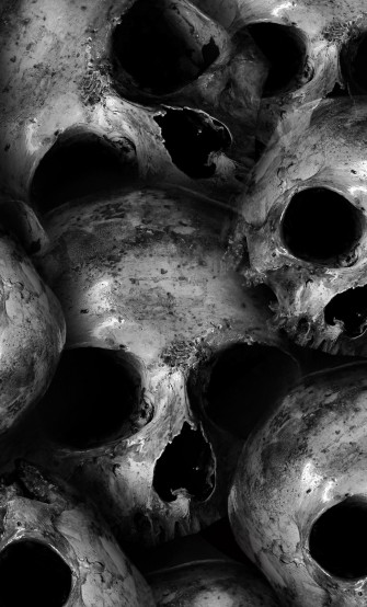 Scary Skulls iPhone Wallpaper On