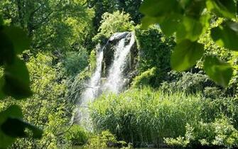 Tropical Waterfall HD Wallpaper