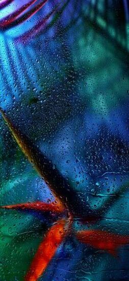New Cool iPhone X Wallpaper Background To Freshen