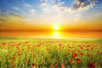 New Customize Flower Garden Wallpaper Mural Nature Scenery HD For