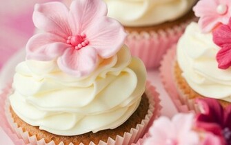 Cupcake Computer Wallpaper Desktop Background Id