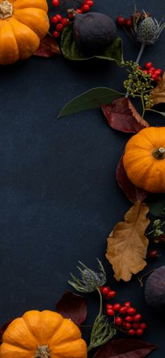 Thanksgiving Blue Wallpaper Top