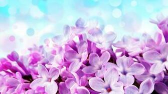 Lil S Flores Papel De Parede Apps Para Android No Google