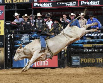 Bull Riding Bullrider Rodeo Western Cowboy Extreme Cow