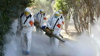 Coronavirus Symptoms Death Rate Where It Came From And Other