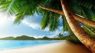 Paradise Island