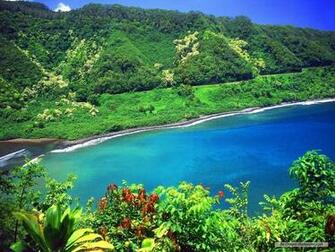 Definition Wallpaper Photo Hawaiian Html