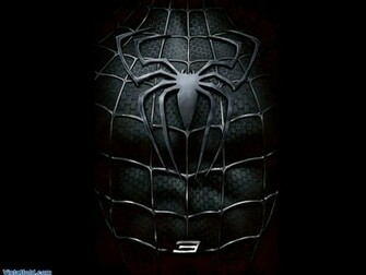 Warriors Ultimate Spider Man Web
