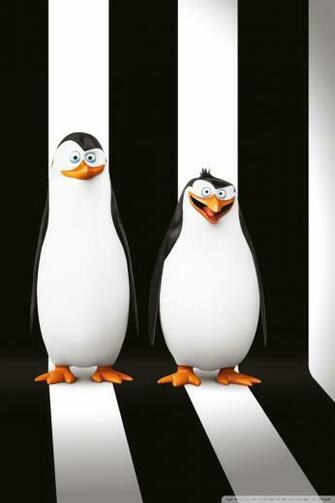 Penguins Of Madagascar Movie 4k HD Desktop Wallpaper For