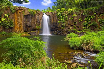 Nature Desktop Wallpaper