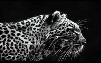 Leopard Black And White Theme Dark Bg HD Wallpaper Jpg