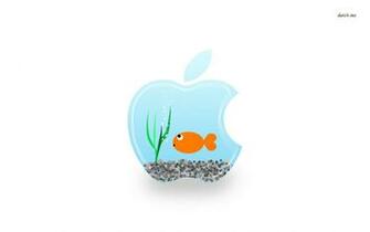 Fish Swimming In Apple Bowl Wallpaper Computer