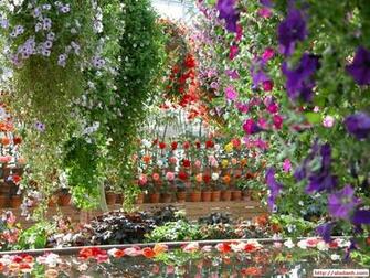 Beautiful Garden Flowers Wallpaper Image Amp Pictures Becuo