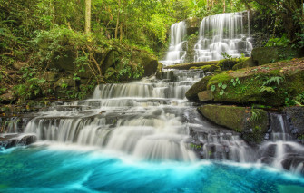 Wallpaper Forest River Waterfall Landscape