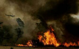 Forest Fire Wallpaper