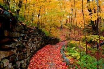 Fa Ade De L Automne Wallpaper