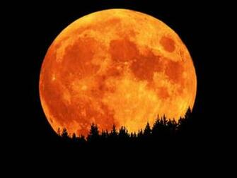 Star Signposts Week Of November Earthword Skyword