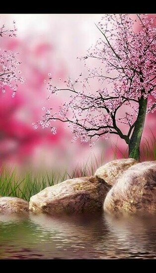 Most Beautiful Nature Wallpaper For Android User Ocean Aroma