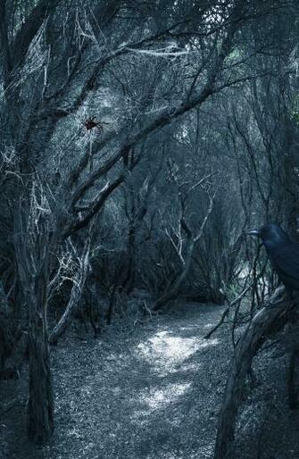 Best Eerie Background Wallpaper