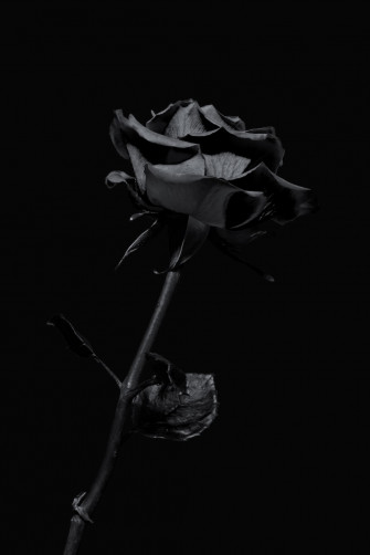 iPhone Dark Pictures Image