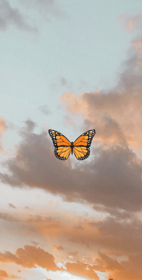 Aesthetic Blue Butterfly Wallpaper