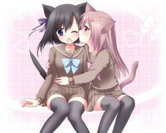 Two Cute Cat Girls Usashiro Mani Artist Wallpaper