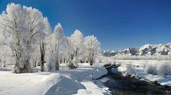 Hq My Wonderful Winter Life Wallpaper